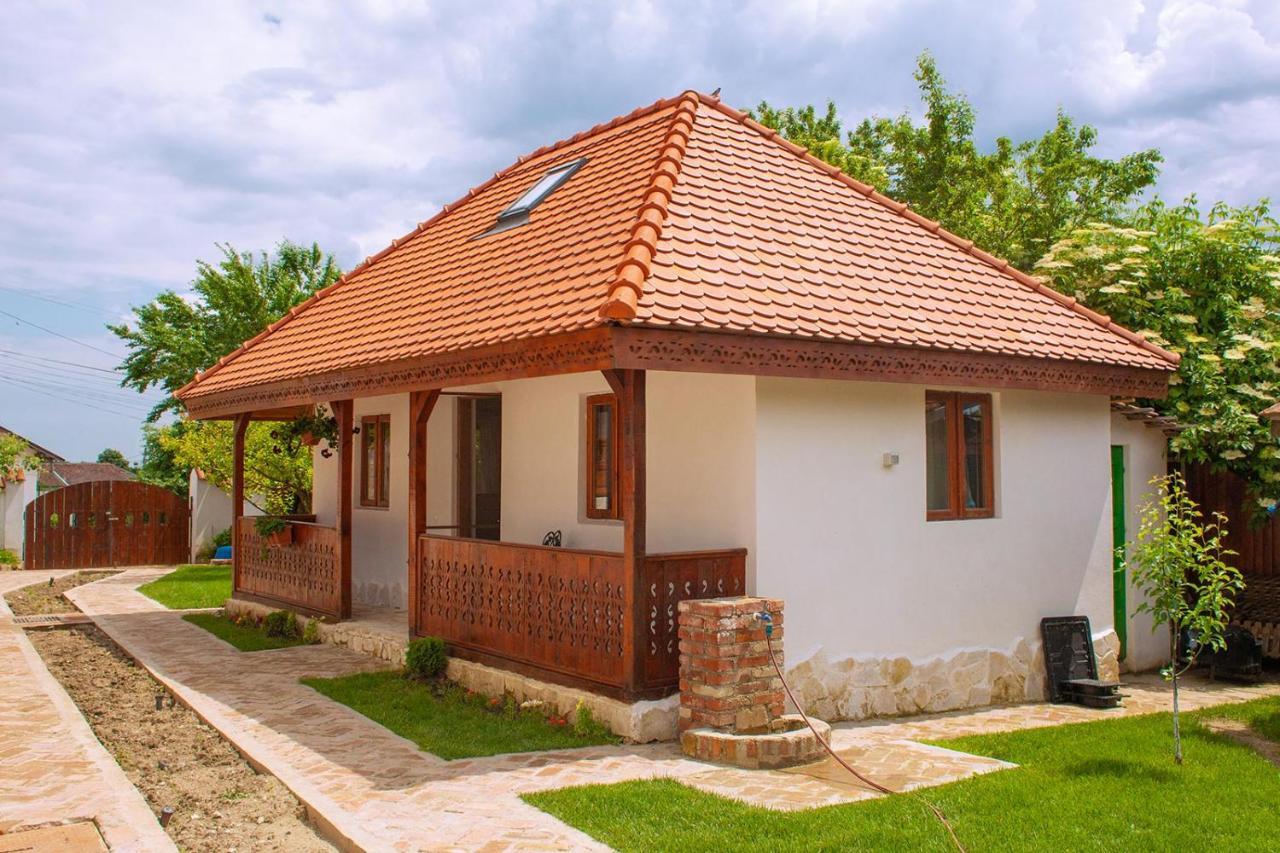 Conacul Grigorescu Ratesti Buitenkant foto