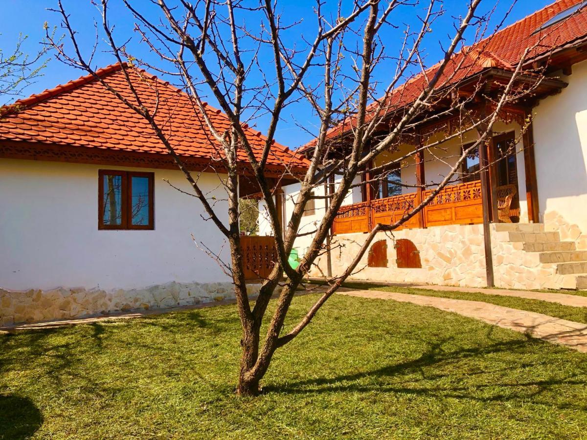 Conacul Grigorescu Ratesti Buitenkant foto